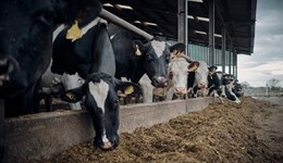 A proactive approach to managing Johne’s at Curtis Hulme Farm